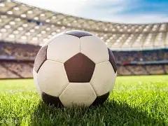 卡莱尔,哈利深信胜,利在望,狗子28(中国)官方网站,狗子28H5官方网站,狗子28大舞台,狗子28官网平台