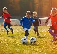 狗子,官方网站,资讯,狗子28(中国)官方网站,狗子28H5官方网站,狗子28大舞台,狗子28官网平台