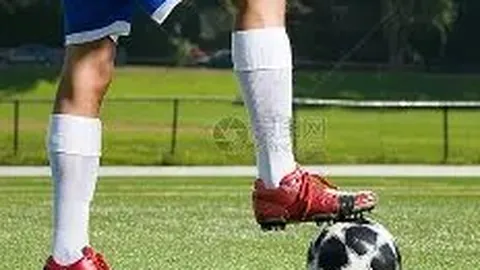 狗子28H5官方网站 资讯 113931 ig8