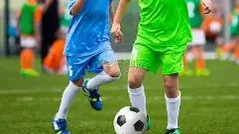 狗子28H5官方网站 产品 113938 dmo