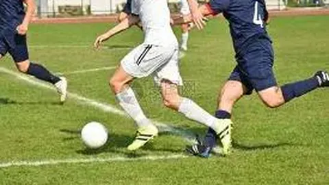 狗子28H5官方网站 产品 114847 fcd