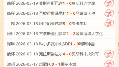 欧冠赛事分析：专家解读比分及胜负预测